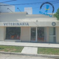 veterinaria